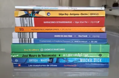 Lote de 10 libros clásicos y contemporáneos - miniatura 2