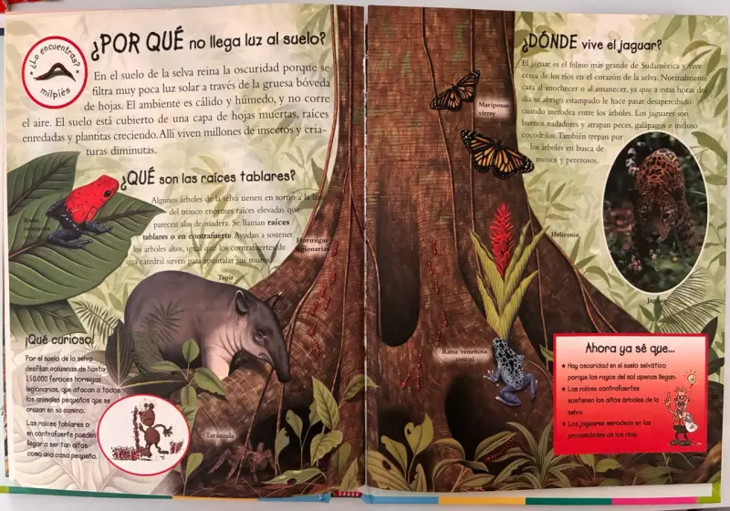 Libro educativo 'Los Porqués de los Animales' - 3