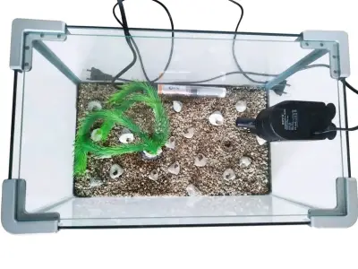 Acuario de vidrio con filtro Boyu - miniatura 2