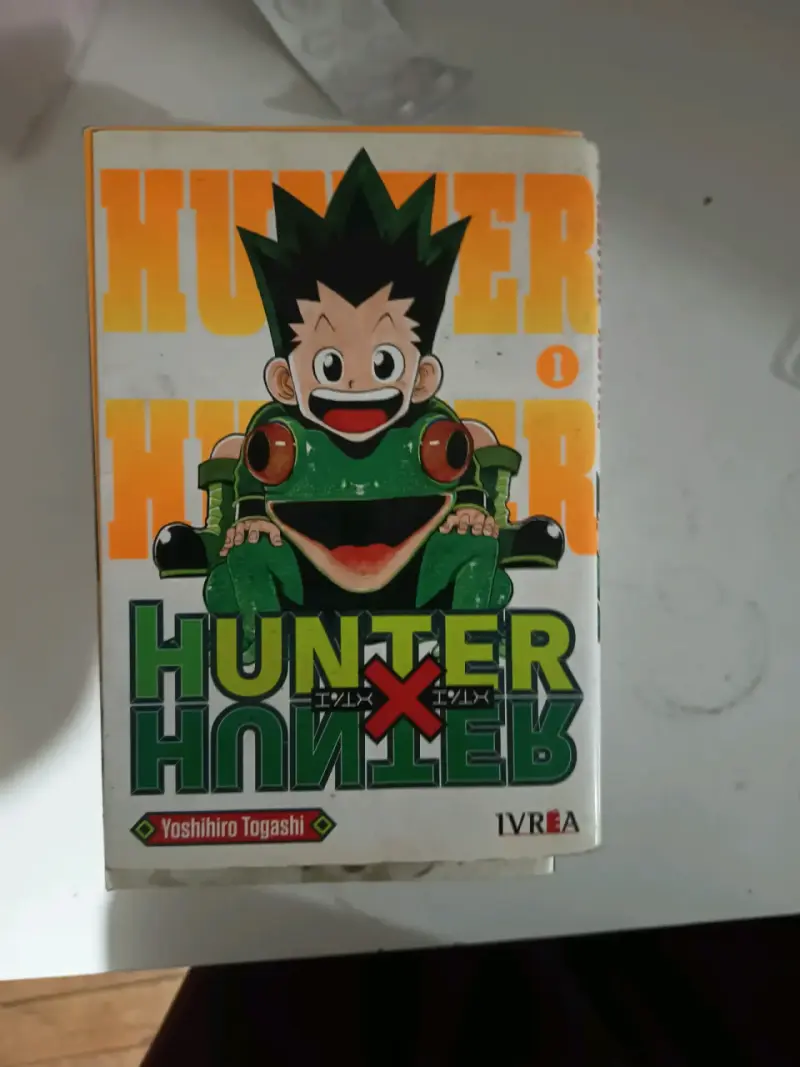 Manga Hunter x Hunter Volumen 1 - 1