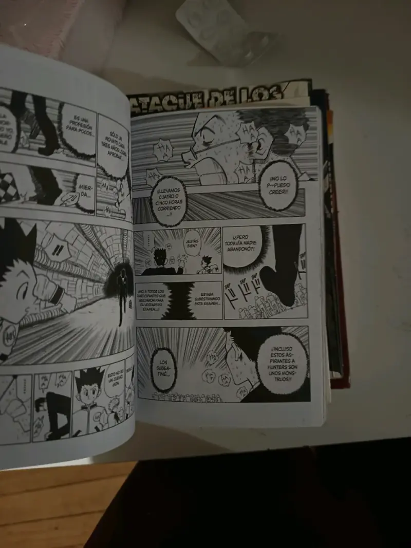 Manga Hunter x Hunter Volumen 1 - 3