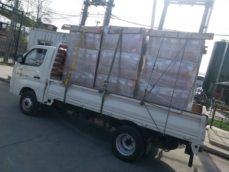 Transportes y Mudanzas Dentro y Fuera De Santiago - 2