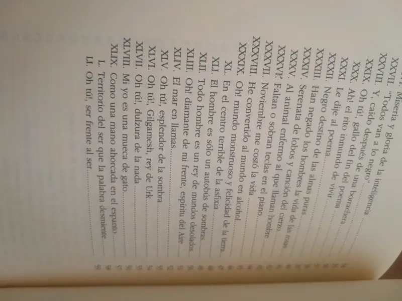 Leopoldo M. Panero, 'Visión' - 4