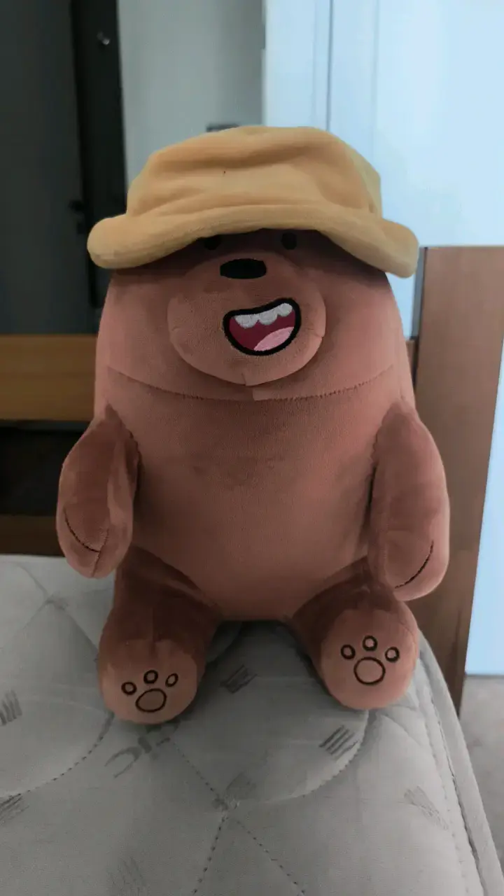 Peluche del oso pardo de osos escandalosos