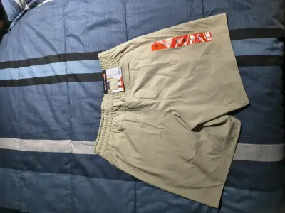 Shorts deportivos beige para hombre Quicksilver - miniatura 1