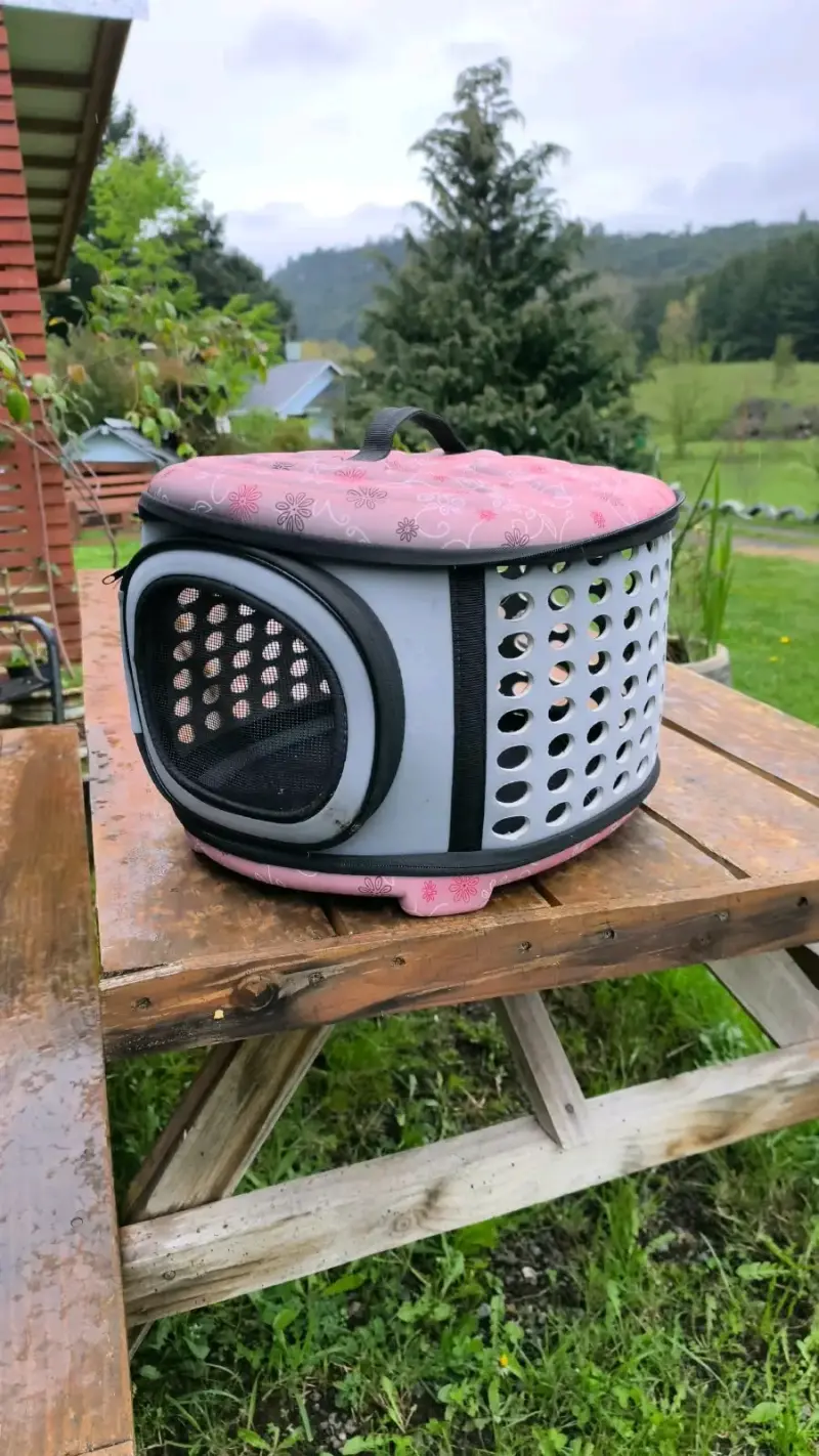 Transportadora de mascotas plegable rosa - 1