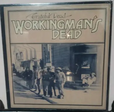 Vinilos Grateful Dead - miniatura 1