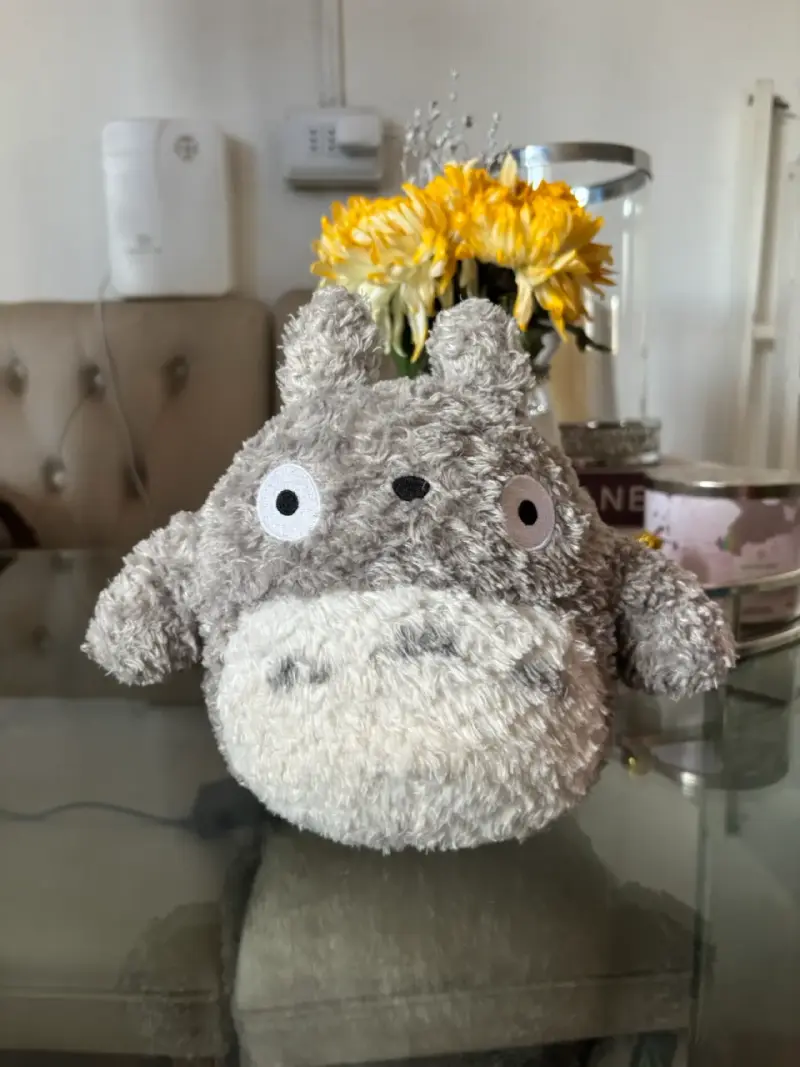 Totoro toy story original - 1