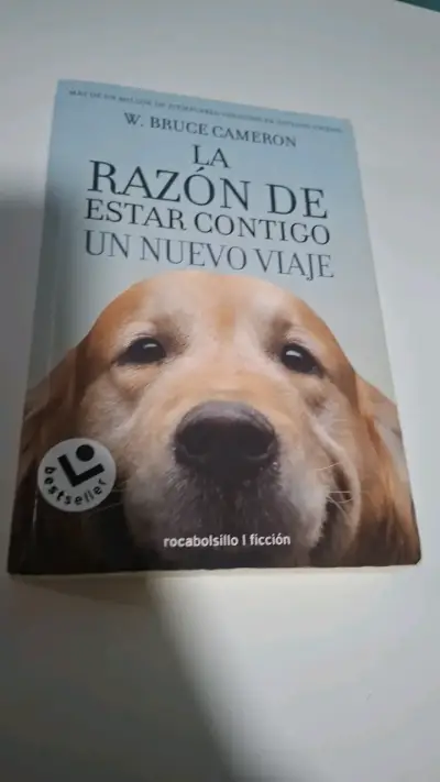'La Razón de Estar Contigo: Un Nuevo Viaje' d - miniatura 1
