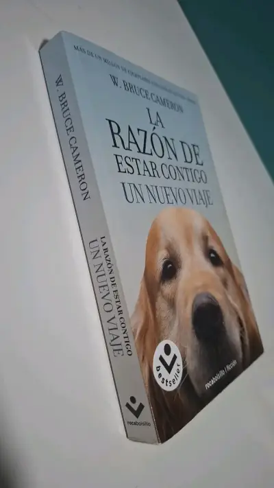 'La Razón de Estar Contigo: Un Nuevo Viaje' d - miniatura 2