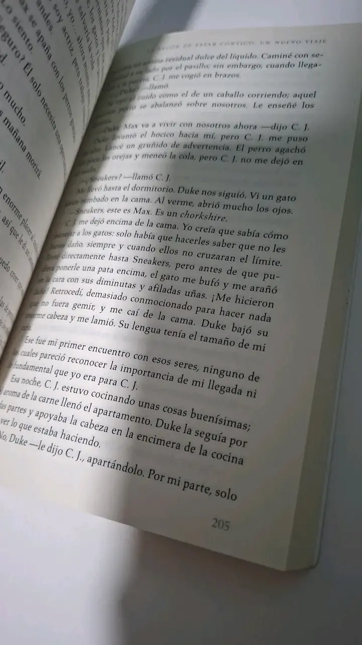'La Razón de Estar Contigo: Un Nuevo Viaje' d - 3