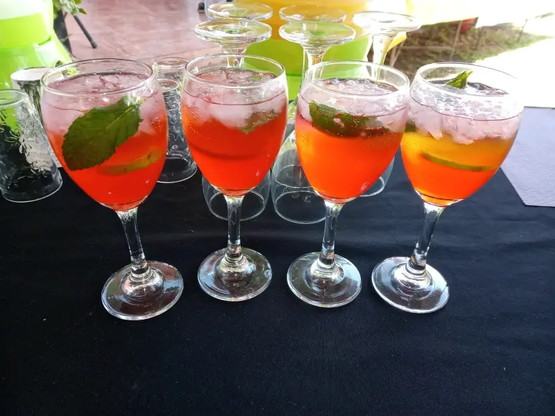 Servicios de Bartender para Eventos Especiales - 5