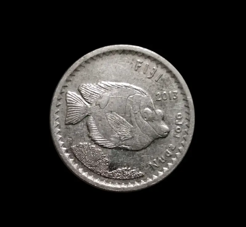 Moneda de 5 centavos de Fiji 2013 - 1