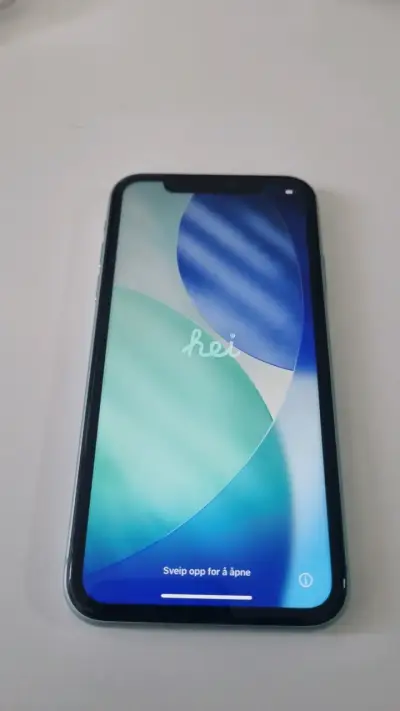 iPhone 11 verde en buen estado - miniatura 1