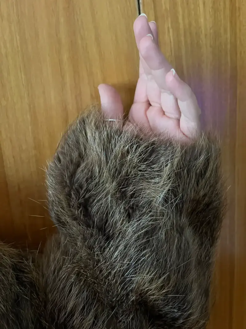 Abrigo de piel natural vintage, largo 3/4, café - 5