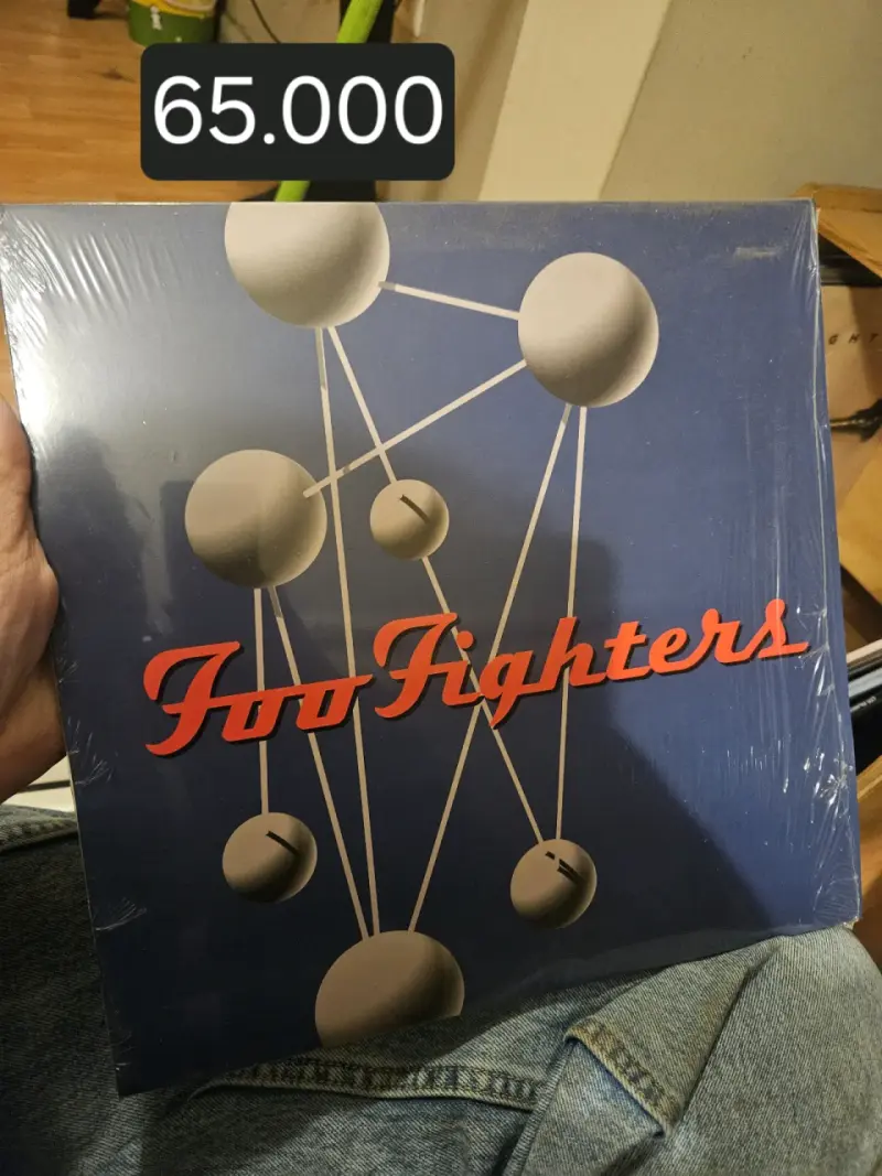 Vinilo Foo Fighters The Colour and the Shape