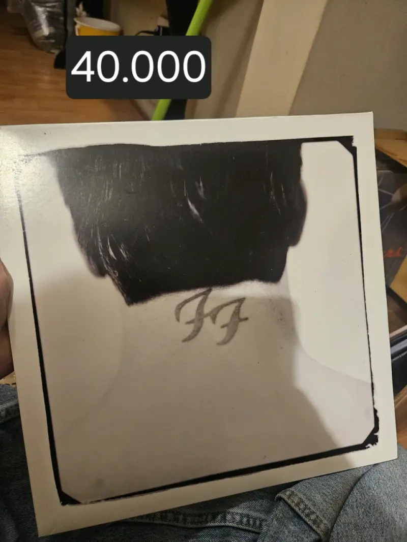 Vinilo de música Foo Fighters