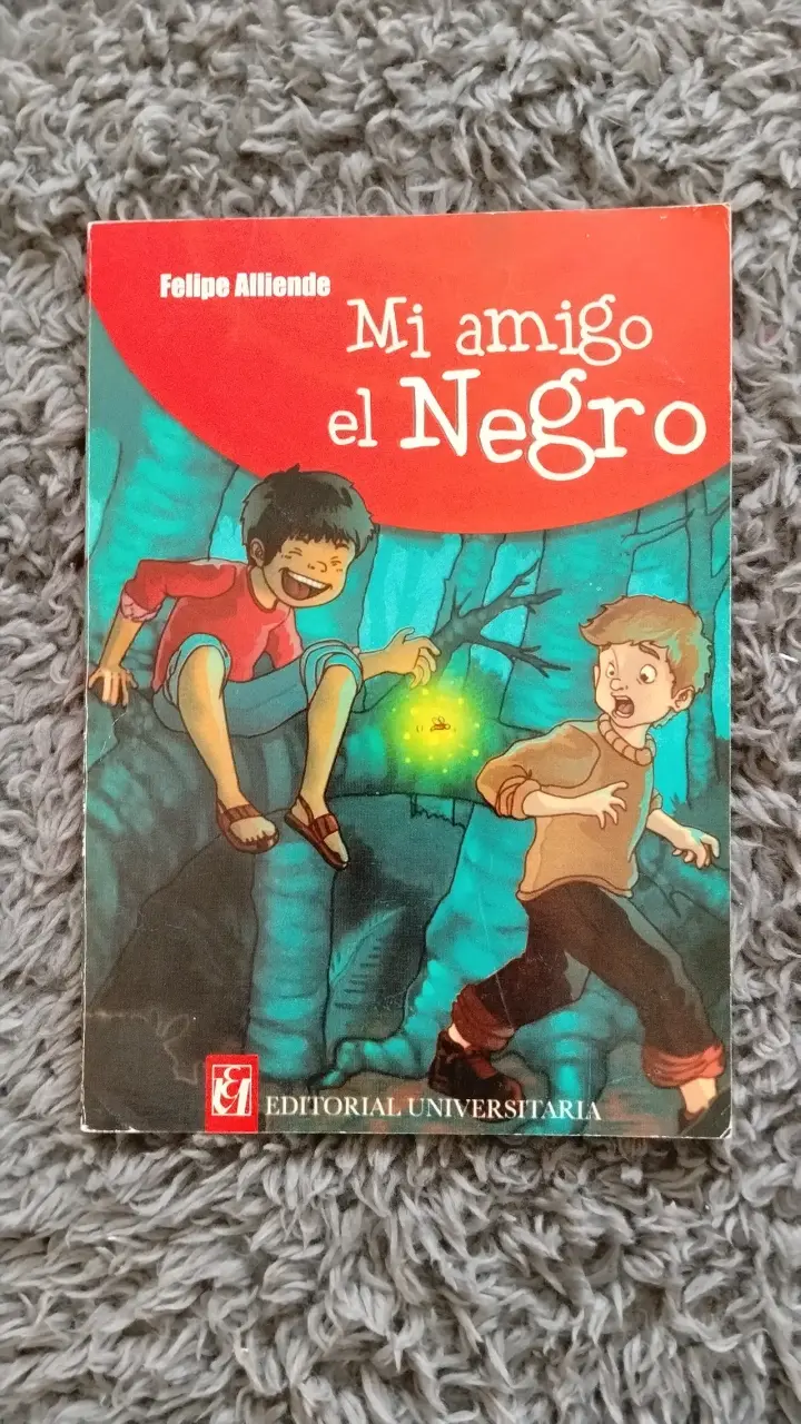 Libro Mi Amigo el Negro de Felipe Alliende - 1