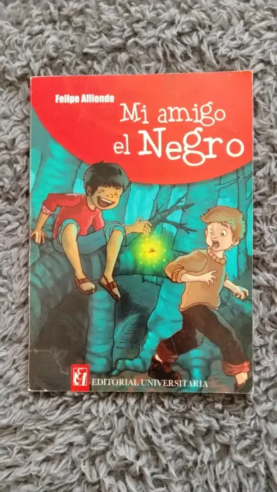Libro Mi Amigo el Negro de Felipe Alliende - miniatura 1