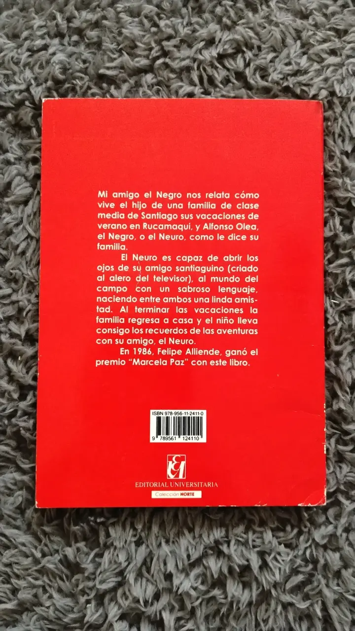 Libro Mi Amigo el Negro de Felipe Alliende - 2