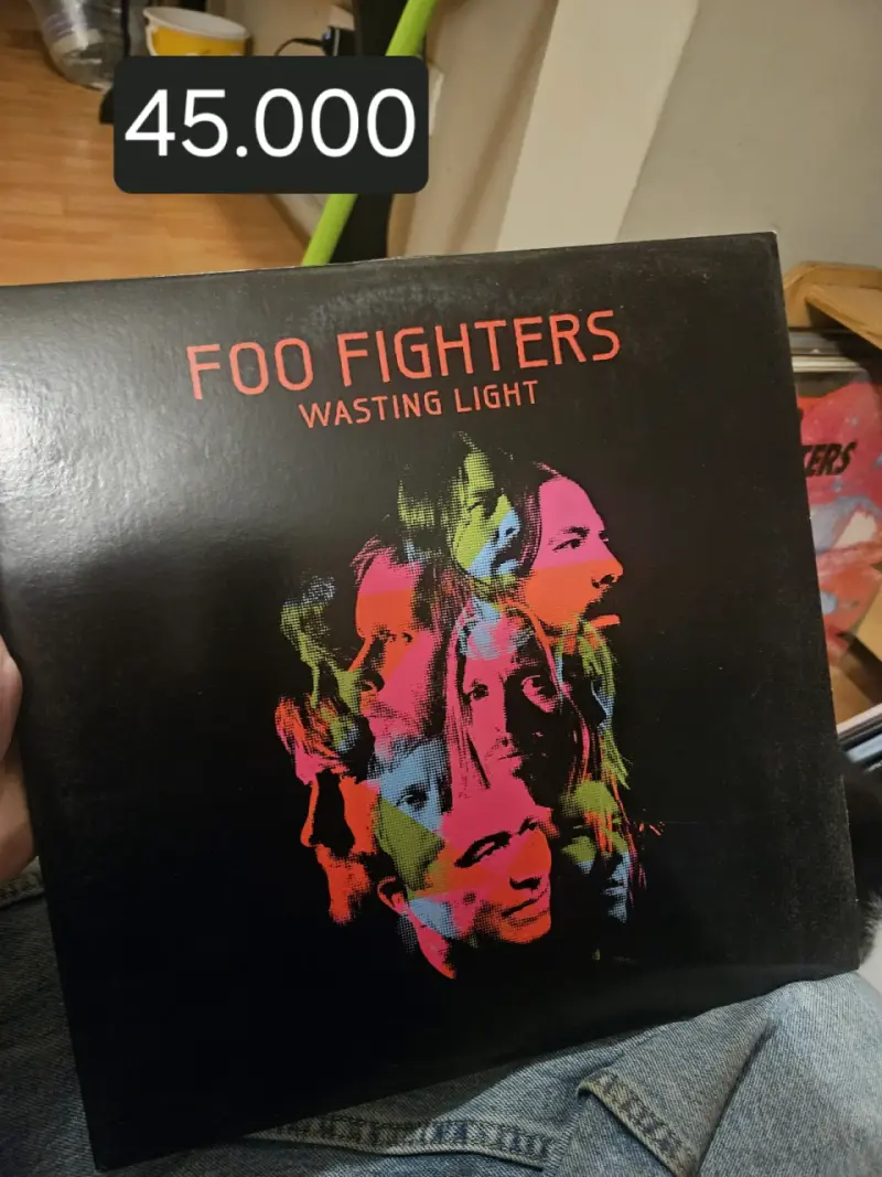 Vinilo Foo Fighters Wasting Light en buen estado