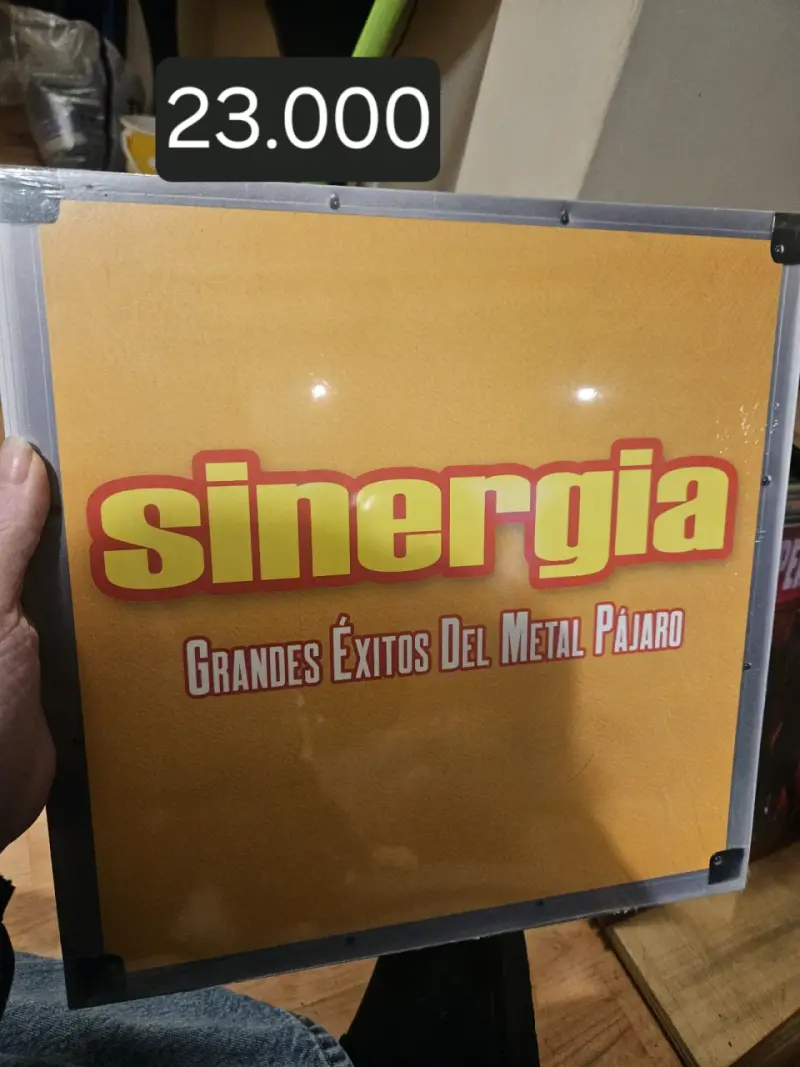 Vinilo Sinergia Grandes Éxitos Del Metal Pájaros