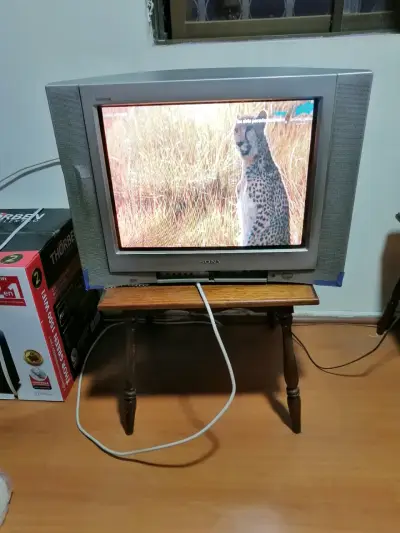 Televisor Sony Trinitron CRT 21 pulgadas - miniatura 1