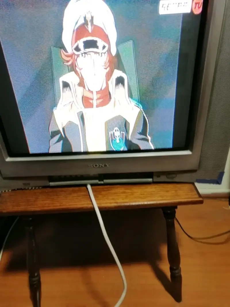 Televisor Sony Trinitron CRT 21 pulgadas - 2