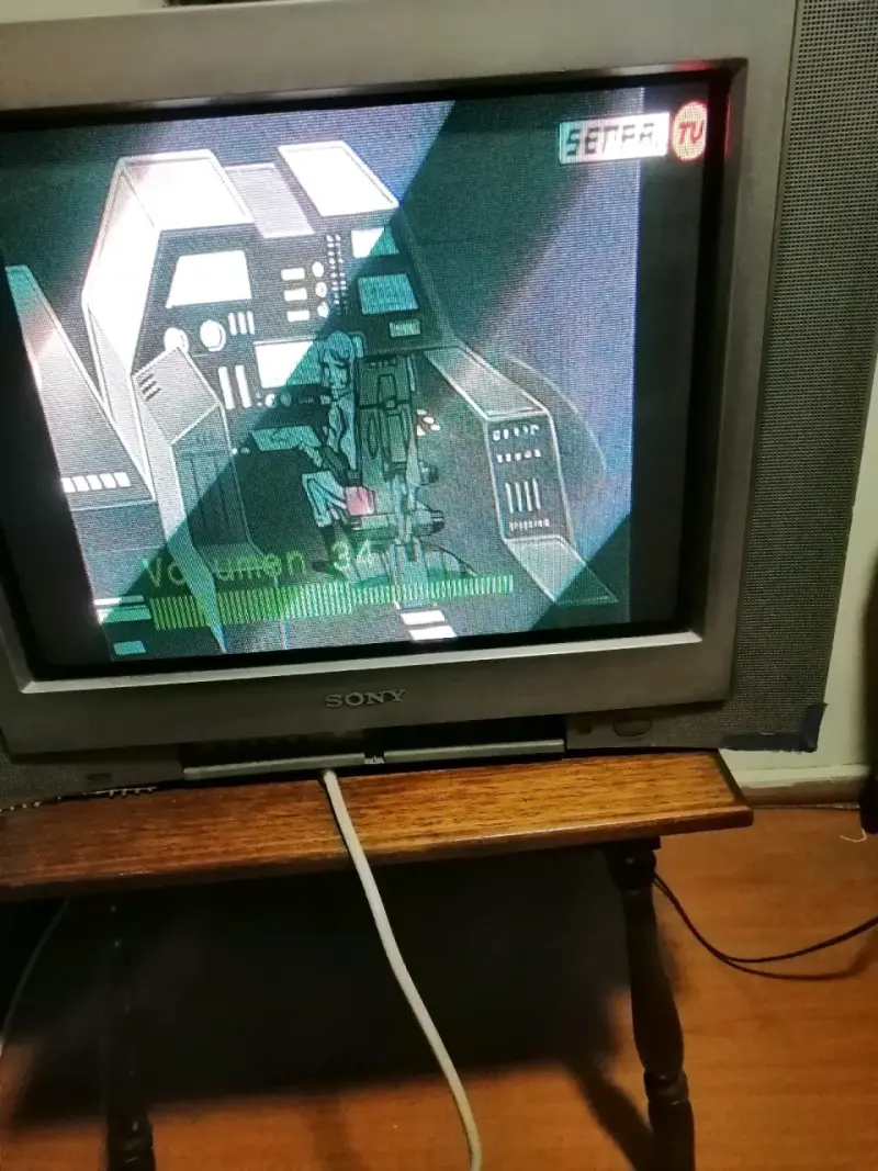 Televisor Sony Trinitron CRT 21 pulgadas - 3