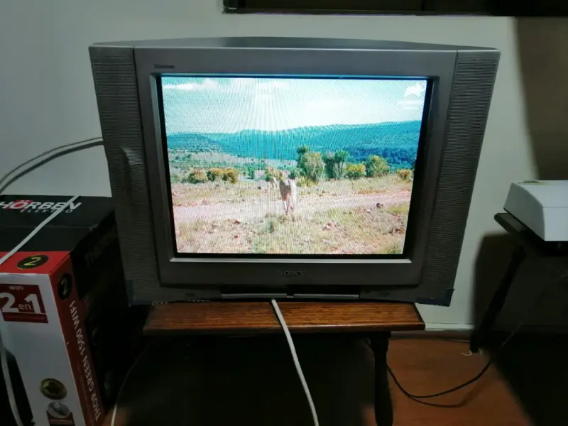 Televisor Sony Trinitron CRT 21 pulgadas - 4