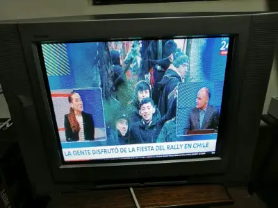 Televisor Sony Trinitron CRT 21 pulgadas - miniatura 5