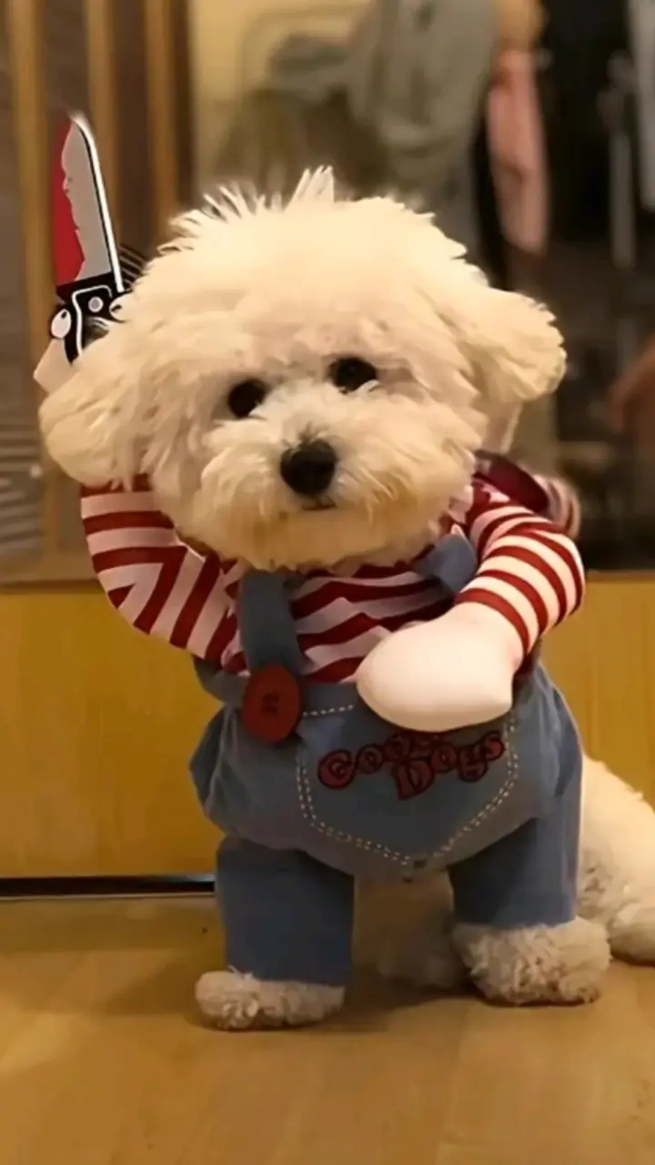 Disfraz de perro Chucky con overol y camiseta - 2