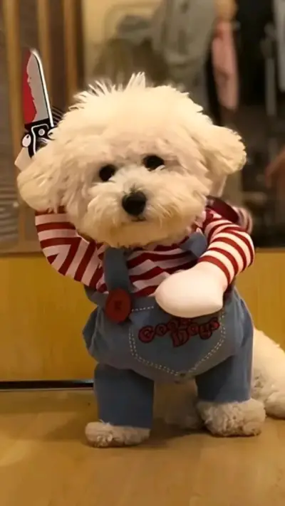 Disfraz de perro Chucky con overol y camiseta - miniatura 2