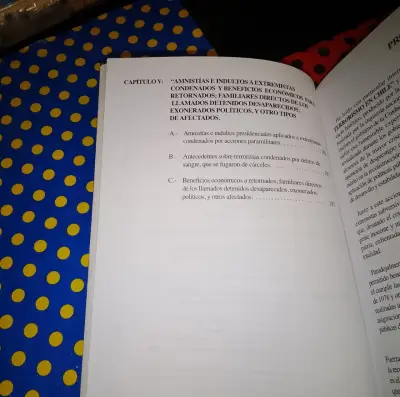 La Verdad Olvidada Del Terrorismo En Chile - miniatura 4