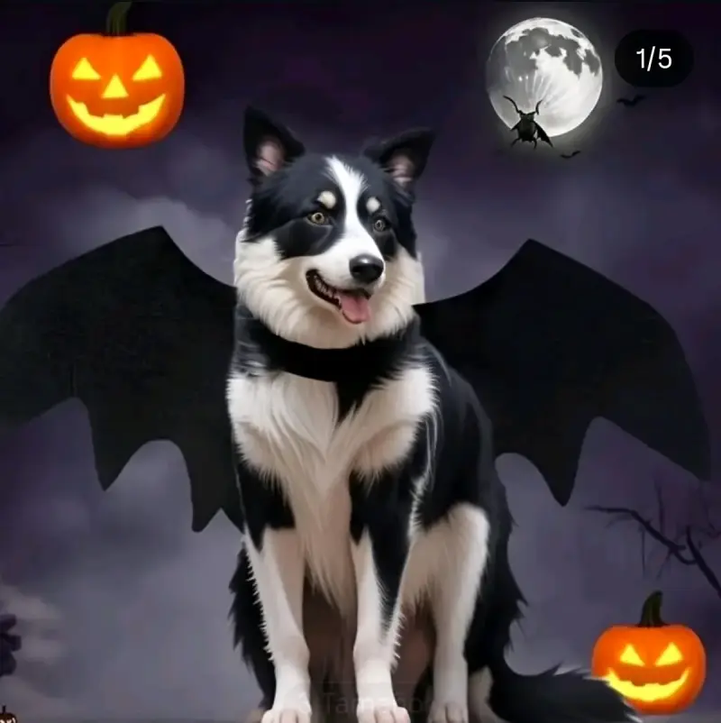 Disfraz de Murciélago para Mascotas Talla M - 1
