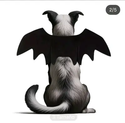 Disfraz de Murciélago para Mascotas Talla M - miniatura 2