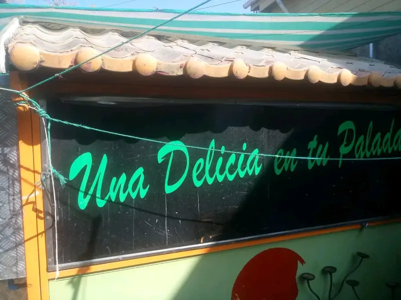 Carro de comida rápida con freidoras - 1