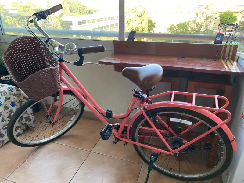 Bicicleta Urbana Rosa con Canasto - 1