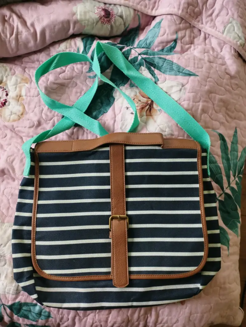 Bolso cruzado a rayas azul y blanco con correa verde - 1