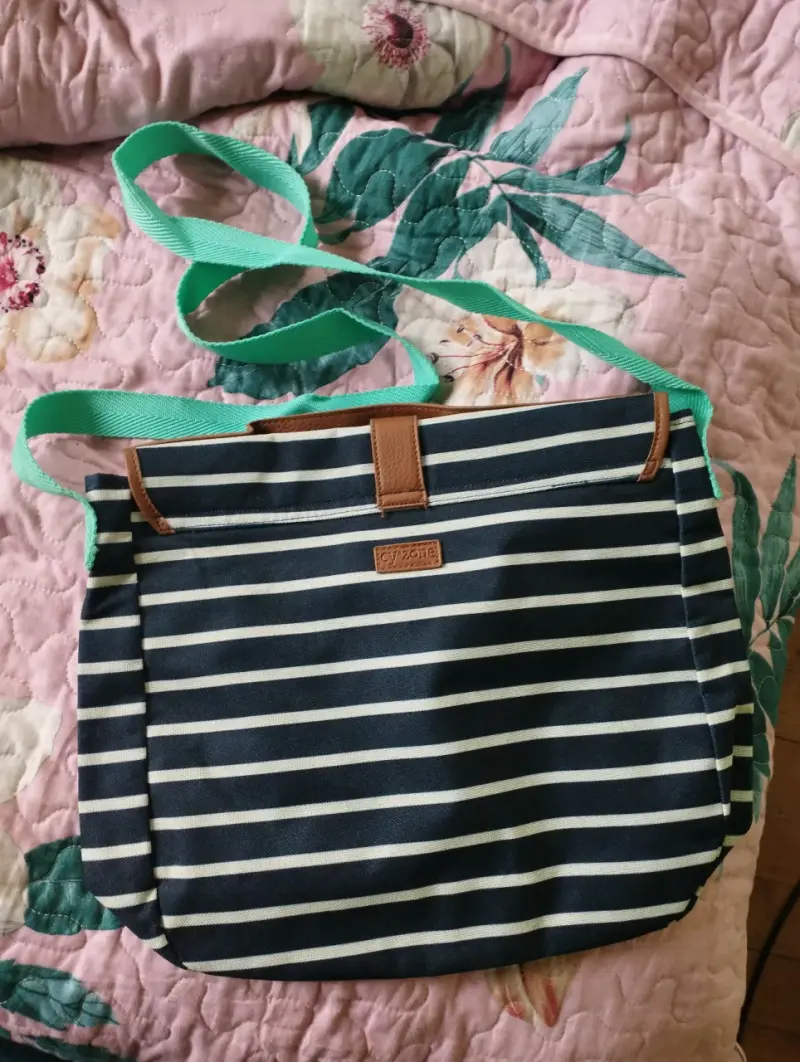Bolso cruzado a rayas azul y blanco con correa verde - 2
