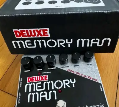 Pedal de Efectos EHX Deluxe Memory Man - miniatura 3