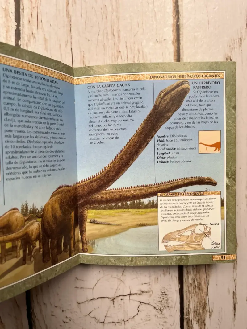 Enciclopedia de los Dinosaurios y Criaturas Prehis - 4