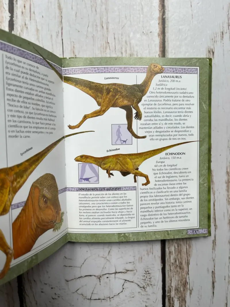 Enciclopedia de los Dinosaurios y Criaturas Prehis - 6