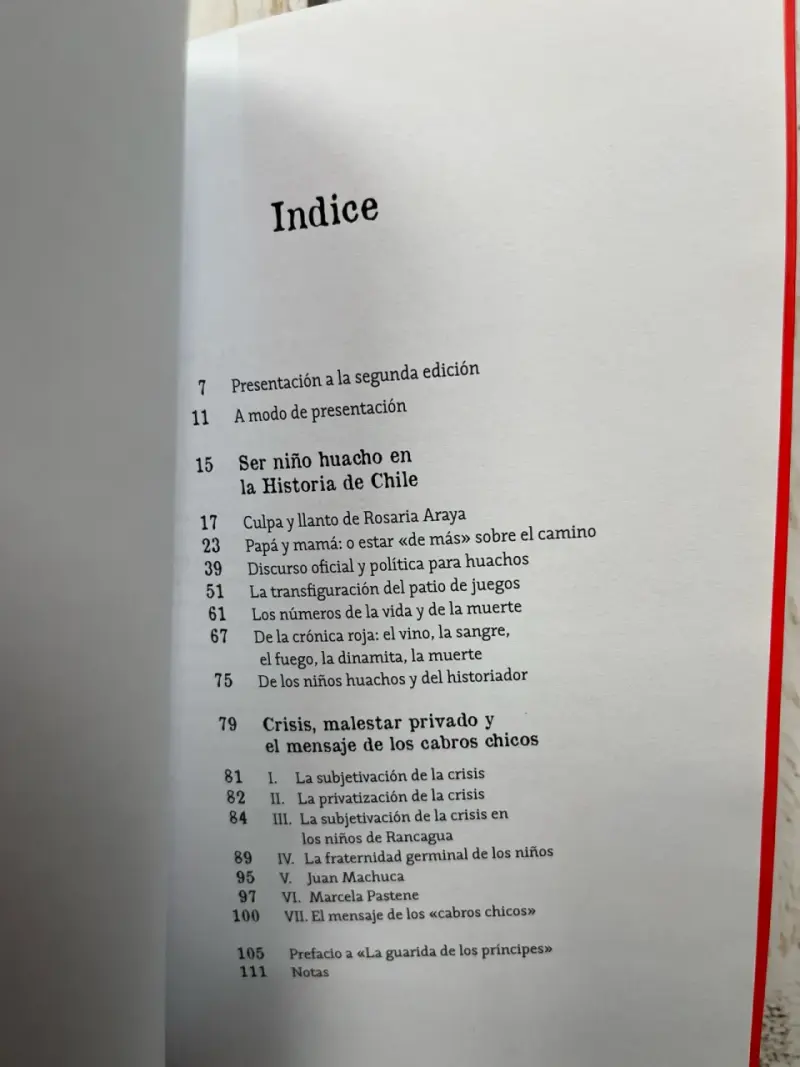 Ser Niño Huacho en la Historia de Chile / Gabriel - 4