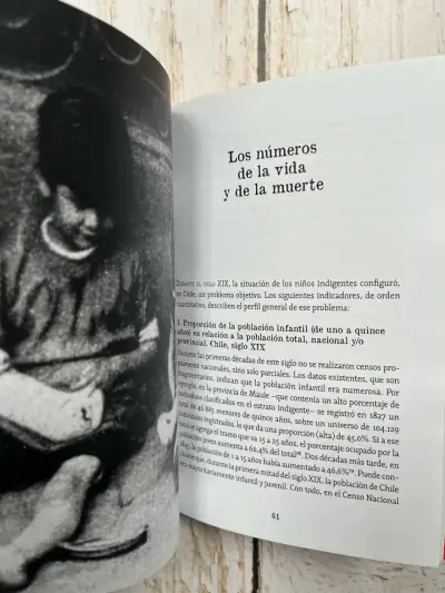 Ser Niño Huacho en la Historia de Chile / Gabriel - miniatura 5