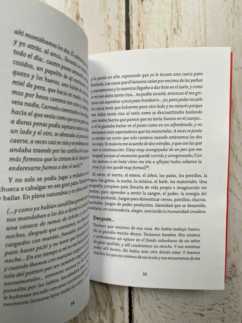Ser Niño Huacho en la Historia de Chile / Gabriel - 6