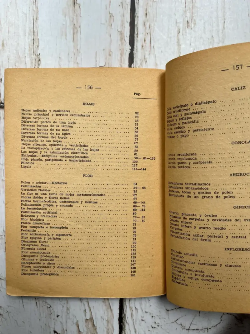 Libro antiguo de botánica para educación primaria - 4