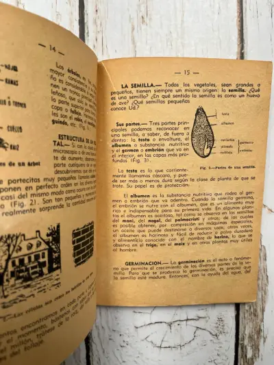 Libro antiguo de botánica para educación primaria - miniatura 5