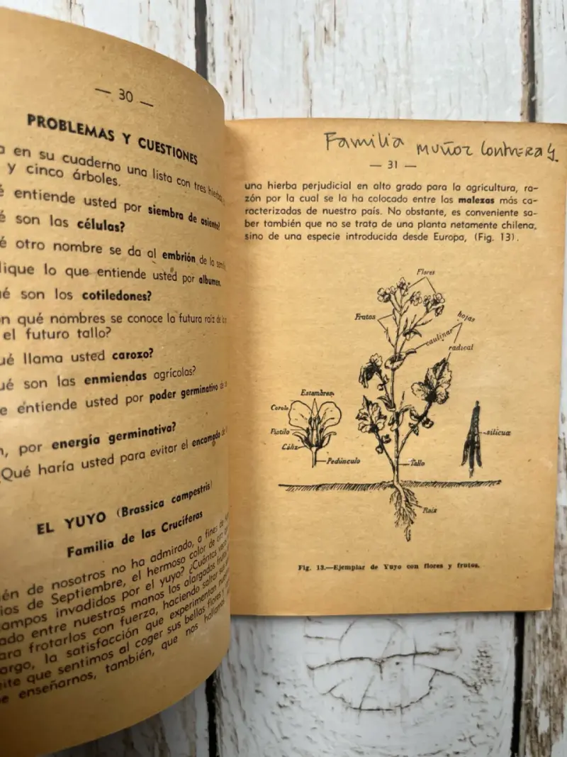 Libro antiguo de botánica para educación primaria - 6