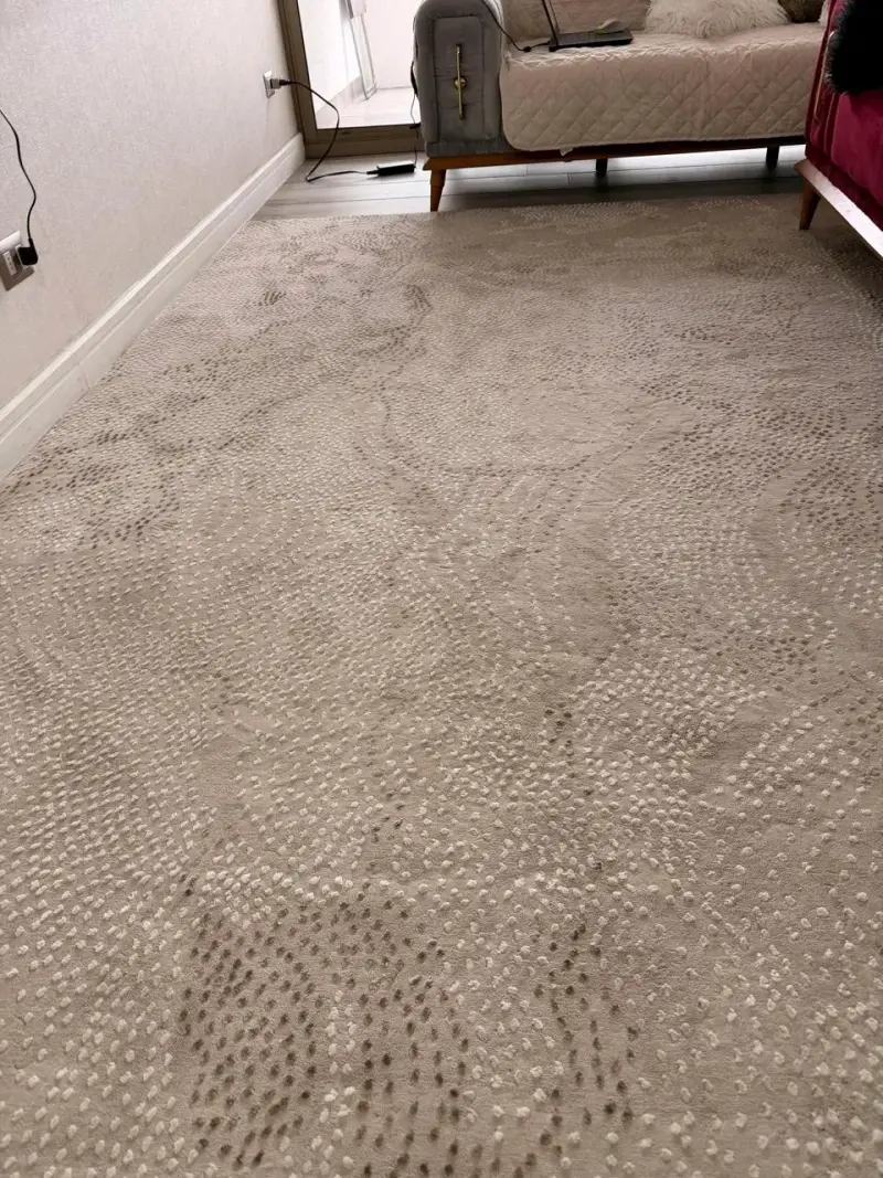 Alfombra beige grande 200x290 moderno - 1